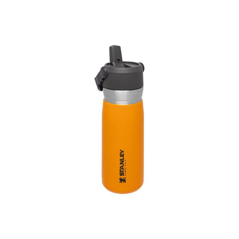 Thermoflasche Stanley, Go Iceflow Flip Straw Water Bottle 22oz \/ 650ml Saffron