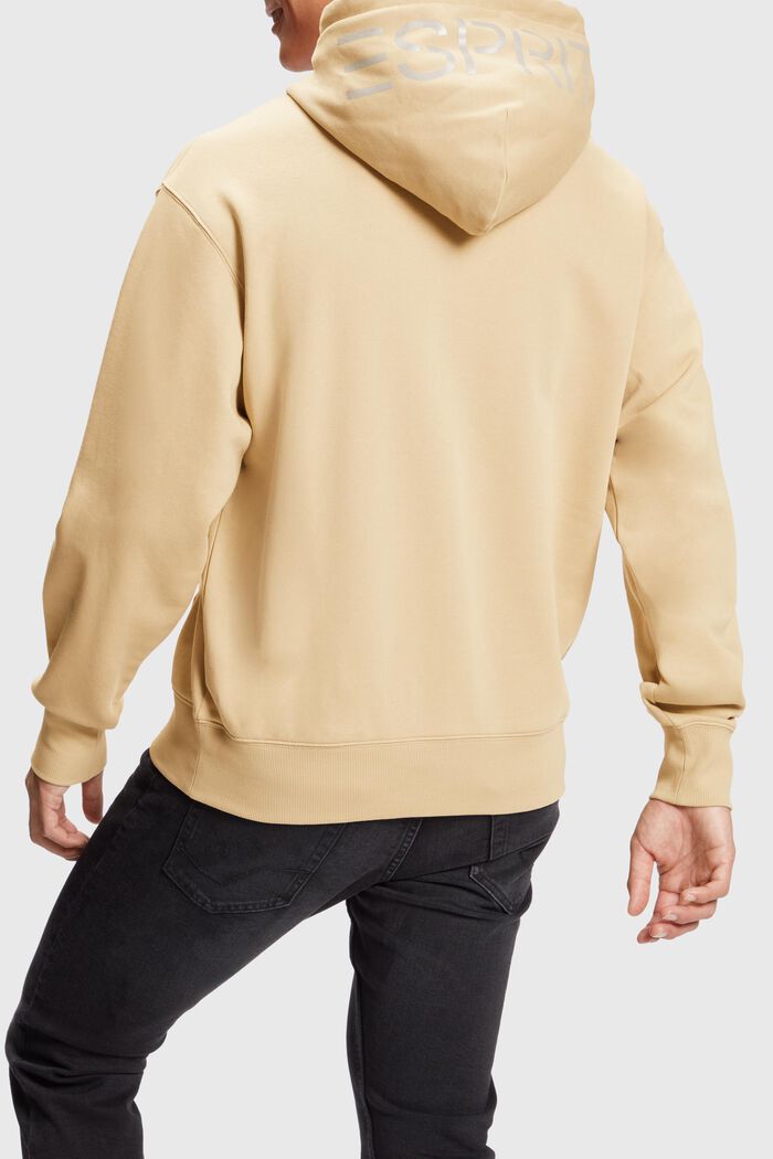 Color Dolphin Hoodie