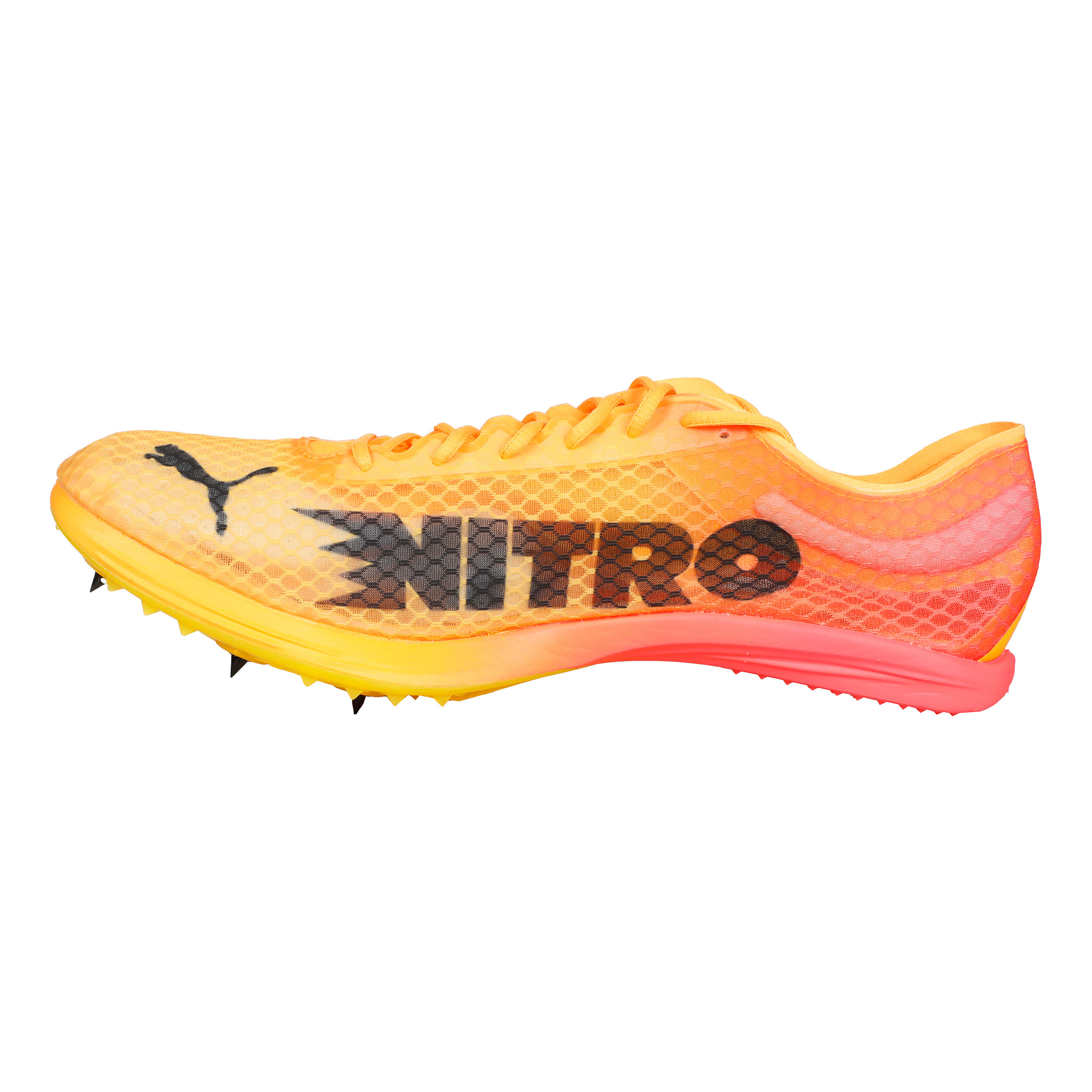 EvoSPEED Distance Nitro Elite+ 4 Spikeschuh - Orange, Schwarz