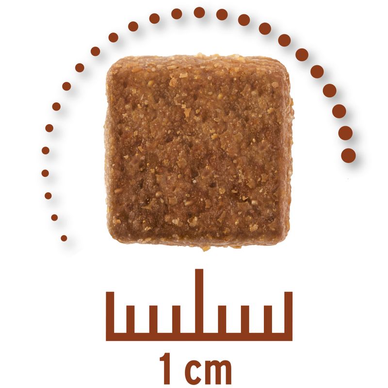 Sparpaket Concept for Life Veterinary Diet 2 x 12 kg