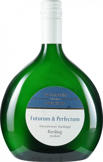 2021 Wiesenbronner Wachhügel Riesling Spätlese trocken - Weinbau Hofmann