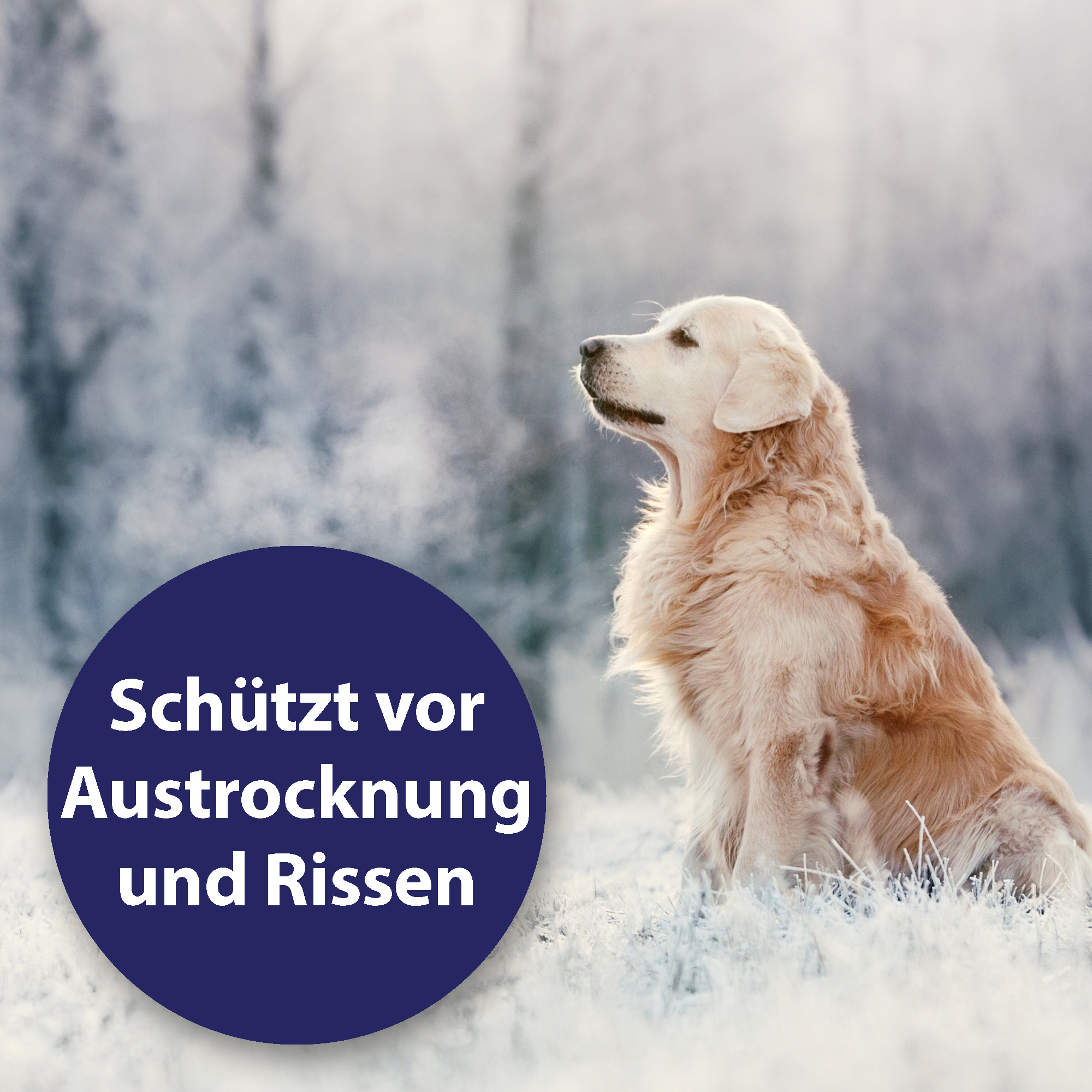 Canosept Pfotenpflege Canosept Pfotenpflege für Hunde 75 g