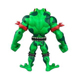 Battletoads Anthology Series Actionfigur - Wave 1: Rash