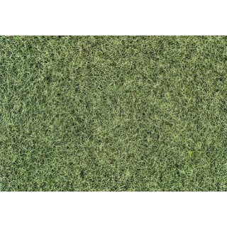 Wintergras 75 g, 6 mm