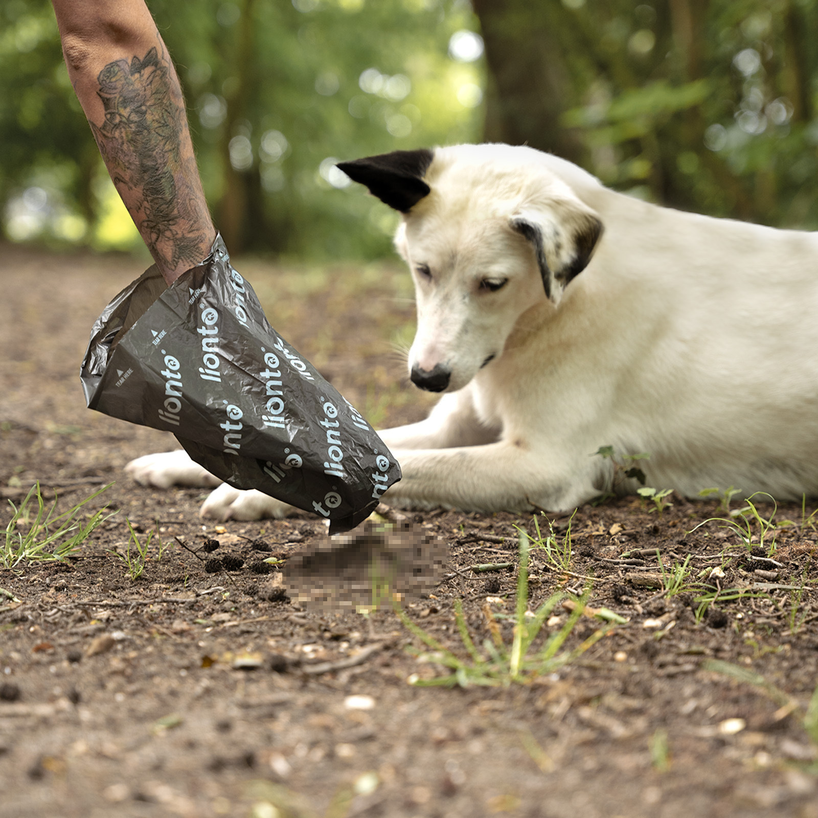 Lionto Hundekotbeutel Lionto 900 Hundekotbeutel, schwarz/grün