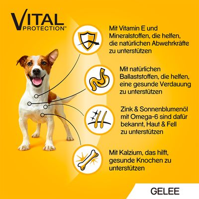 Pedigree Frischebeutel Multipack
