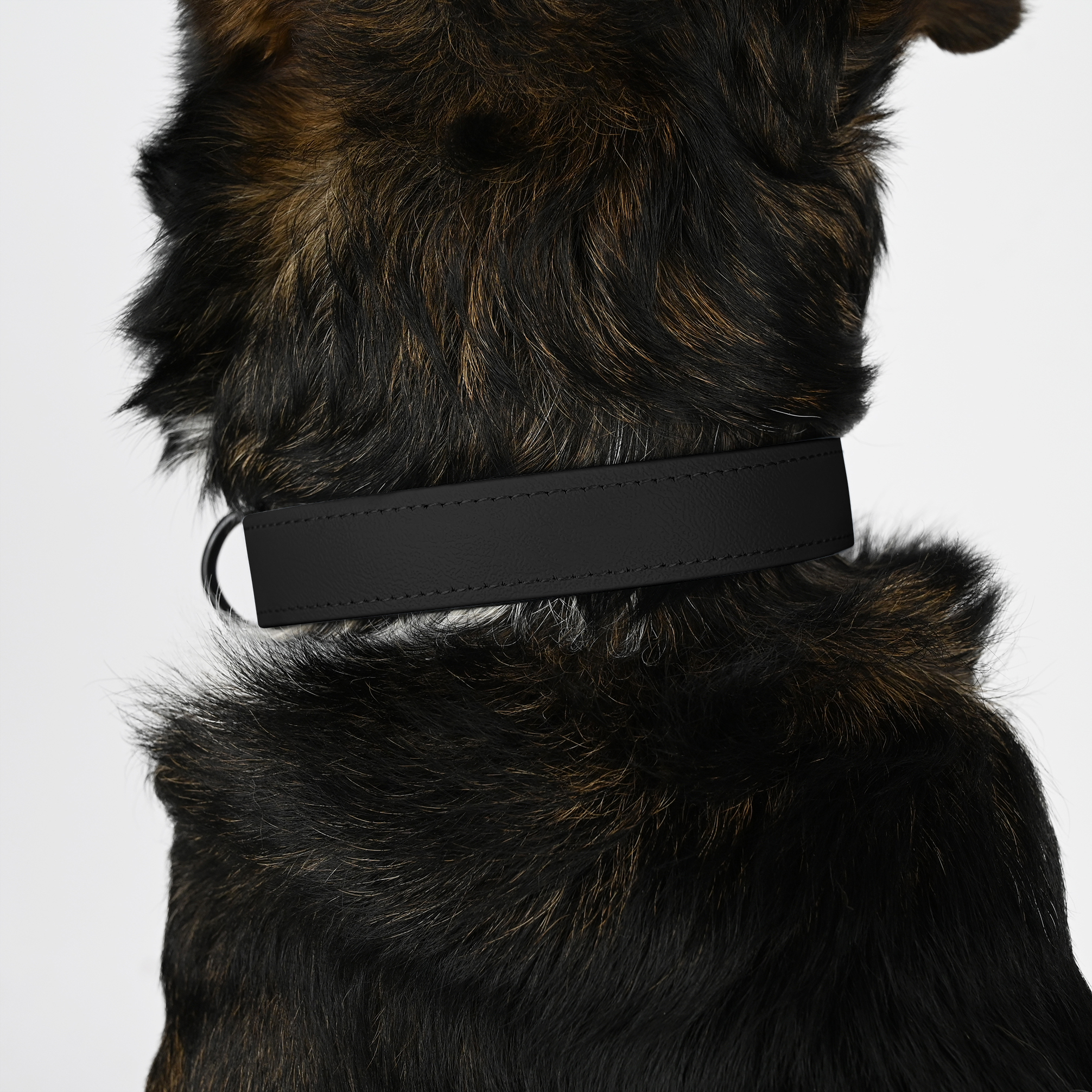 THE DOG IDEA Hundehalsbänder THE DOG IDEA Biothane Halsband Schwarz neon gelb L