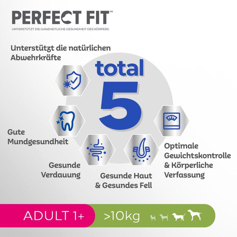 Perfect Fit Adult Hund (>10kg)