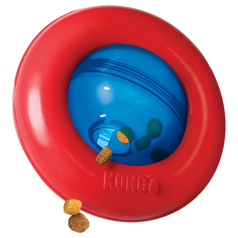 KONG Gyro zu TOP-Preisen