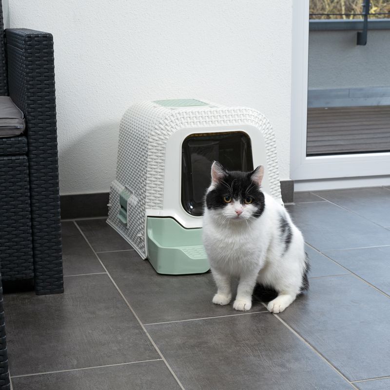 kooa Haubentoilette mit Streu-Schublade zu TOP-Preisen | bitiba %
