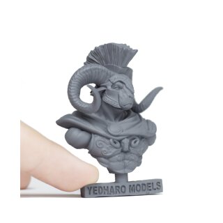 Aries Bust