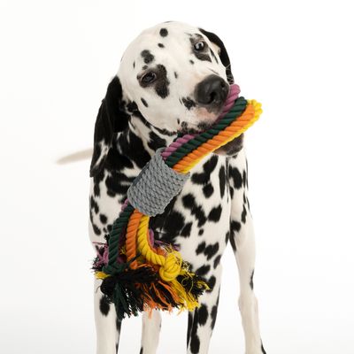 Nomad Tales Spirit Hundespielzeug Multirope