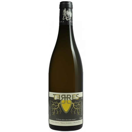 TERRES 2021 - DOMAINE ROCHES NEUVES THIERRY GERMAIN