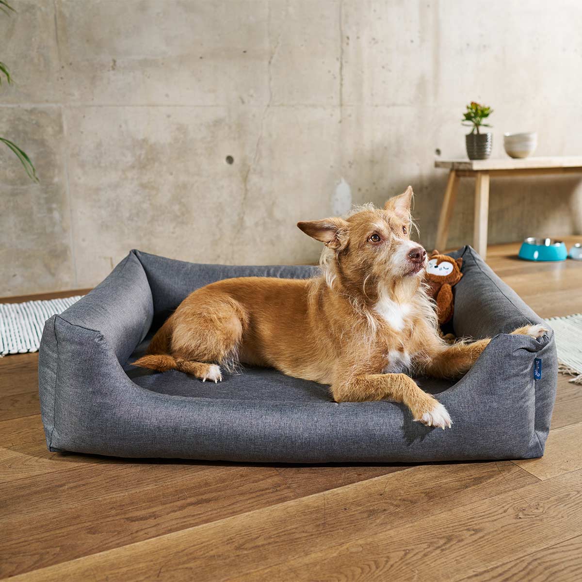 ZooRoyal orthopädisches wasserabweisendes Bett Leo