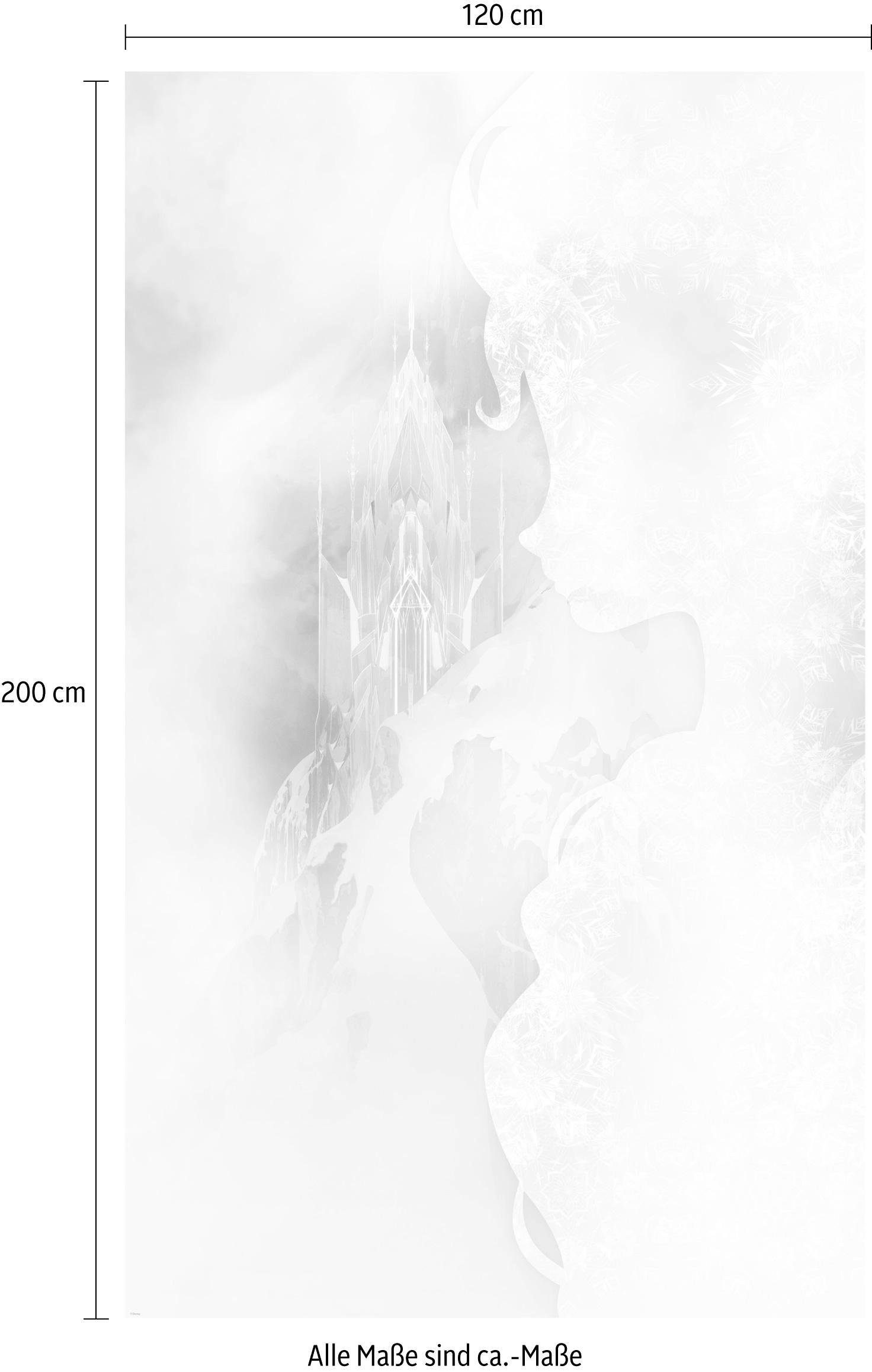 Komar Vliestapete Frozen Winter Mist, (1 St), 120x200 cm (Breite x Höhe), Vliestapete, 100 cm Bahnbreite