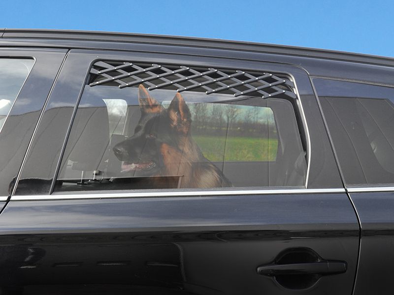 ProPlus Autofenster Lüftungsgitter