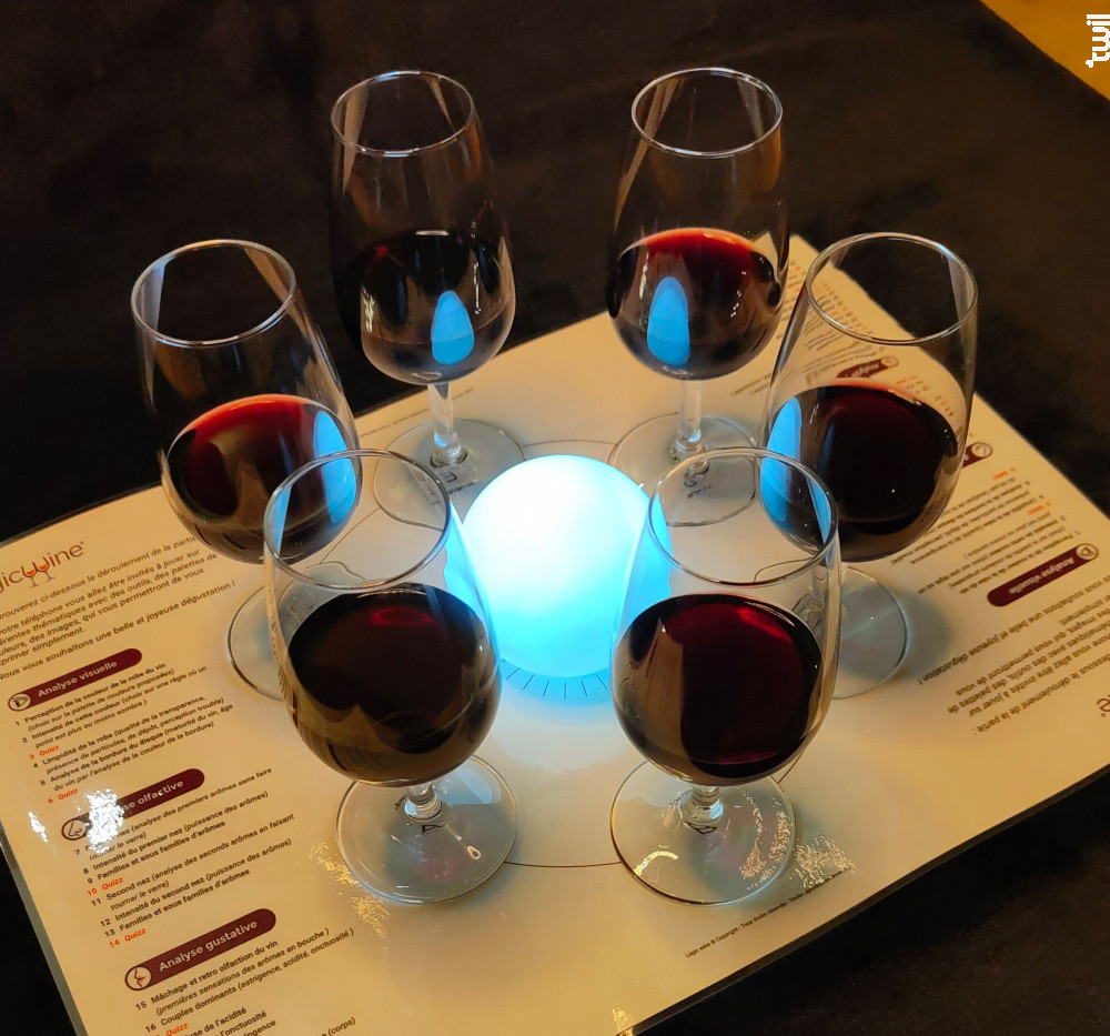 Coffret Jeu de Dégustation Domaine Secret Vin Rouge●Saint-Émilion Non millésimé 75cl
