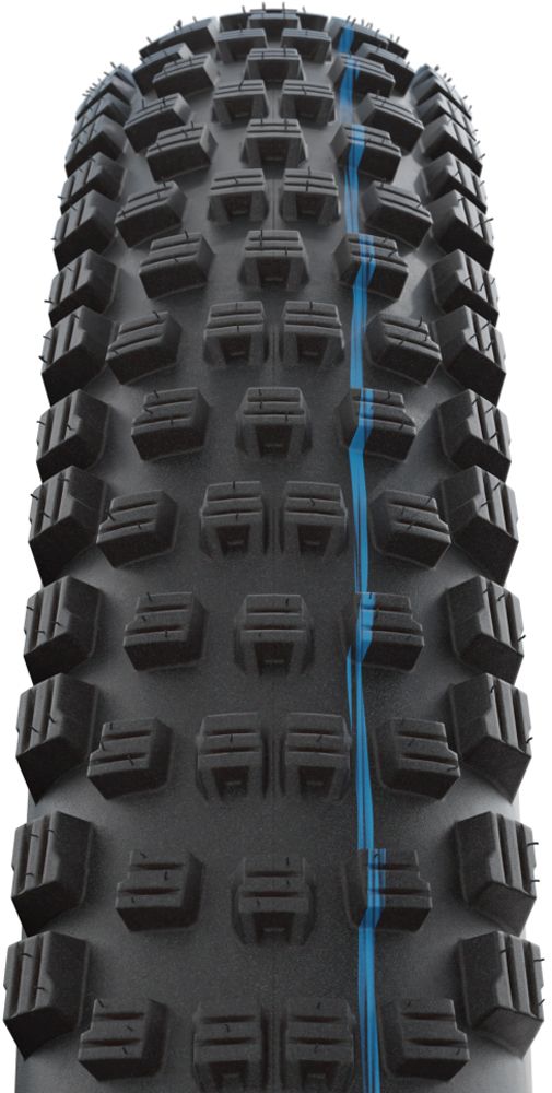 Schwalbe Wicked Will Performance Addix 29