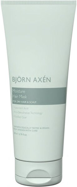 Björn Axén Moisture Hair Mask Haarmaske