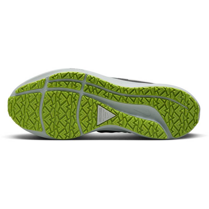 Nike PEGASUS 39 SHIELD Laufschuhe Damen