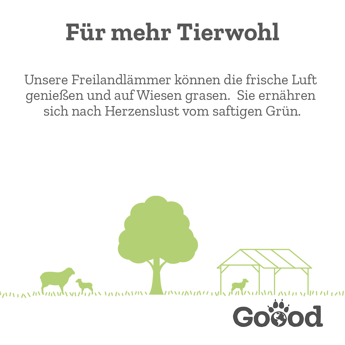 Goood Soft Gooodies Freiland-Lamm 100g kaufen bei ZooRoyal