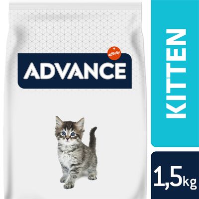 Advance Kitten