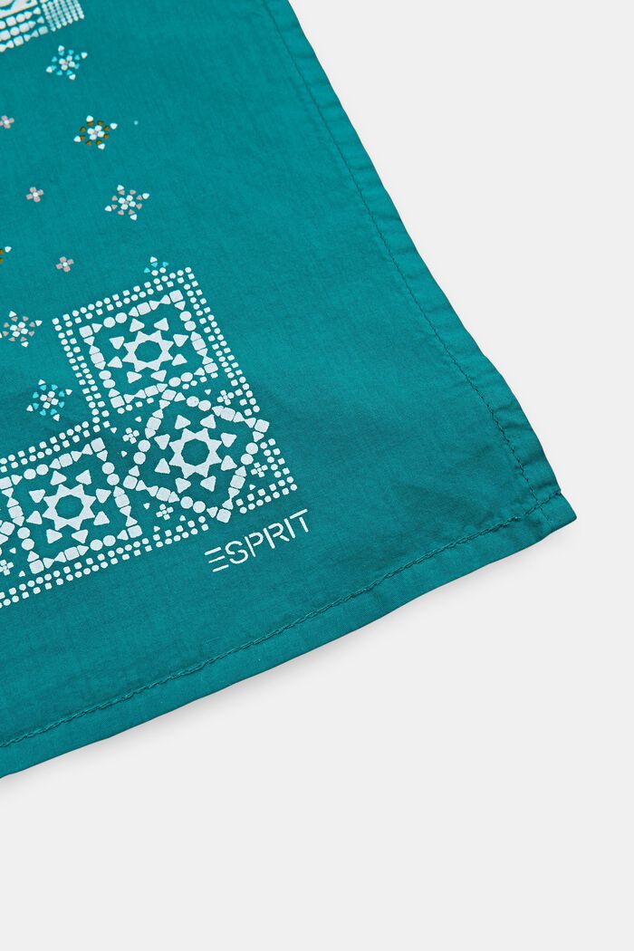 Shawls/Scarves