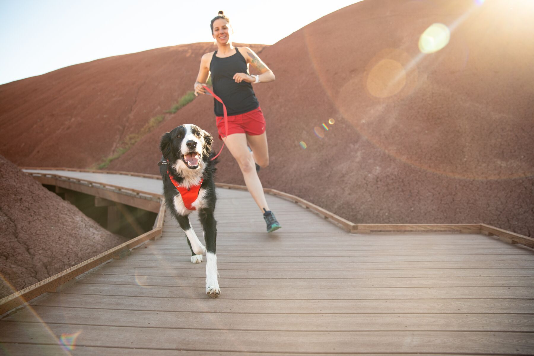 Ruffwear Hundeleinen Ruffwear Front Range™ Leine rot