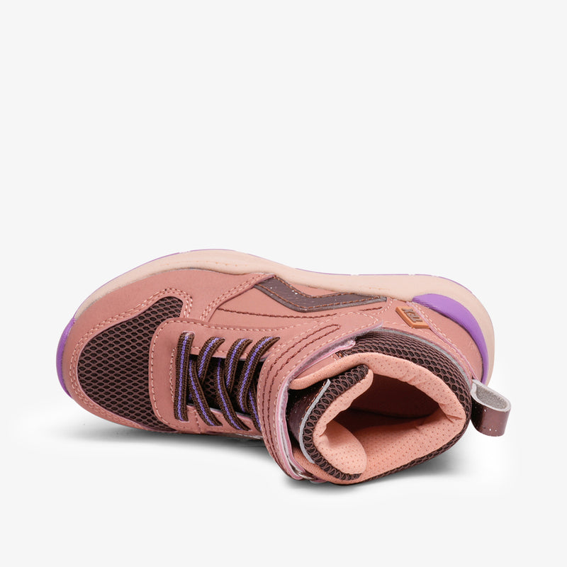 drake tex rose - Rose