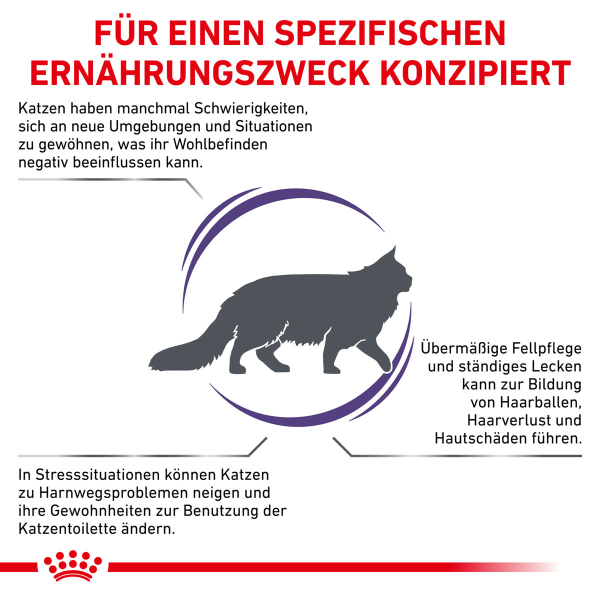 ROYAL CANIN Expert CALM Trockenfutter für Katzen