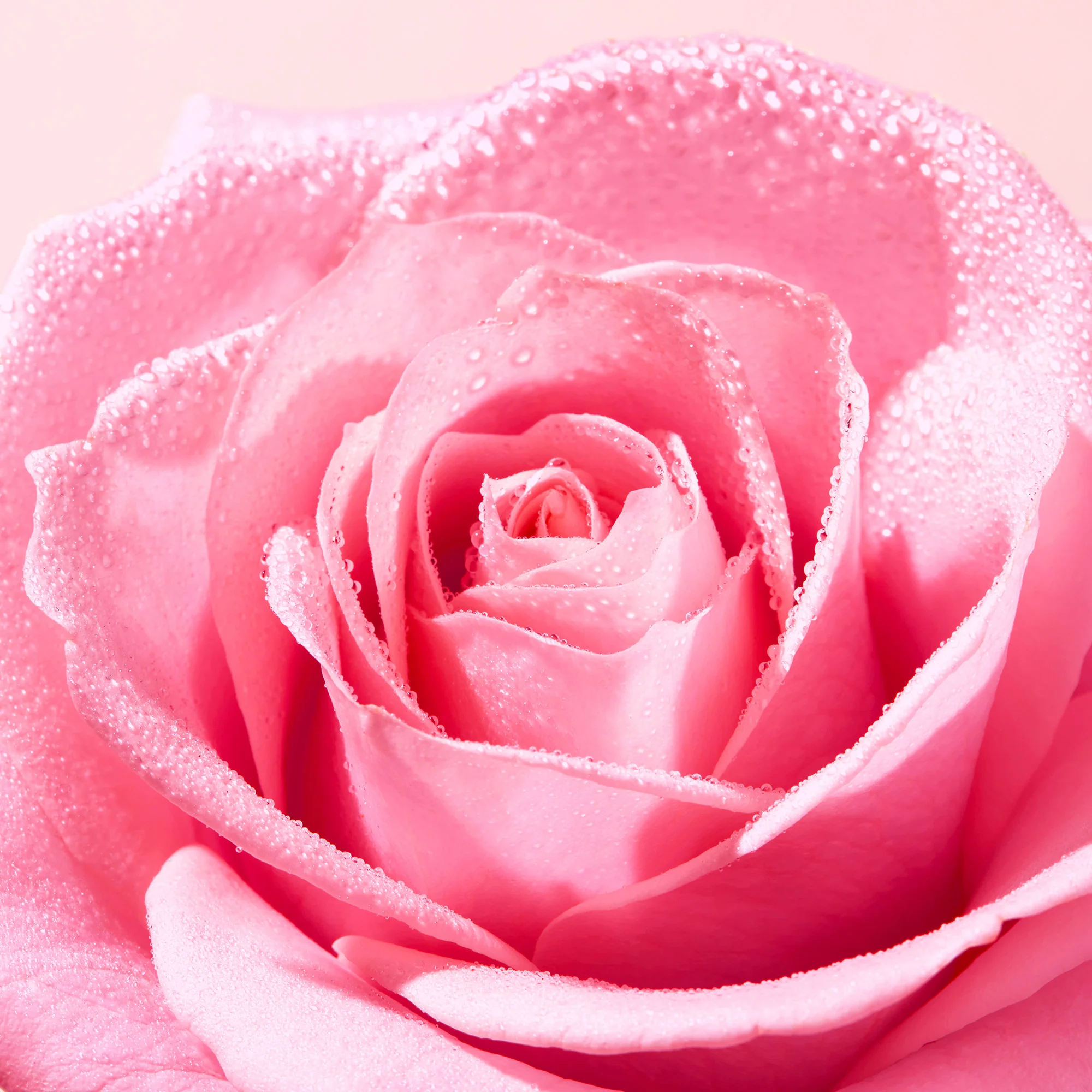 Very Rose Latte Struccante - Latte detergente viso