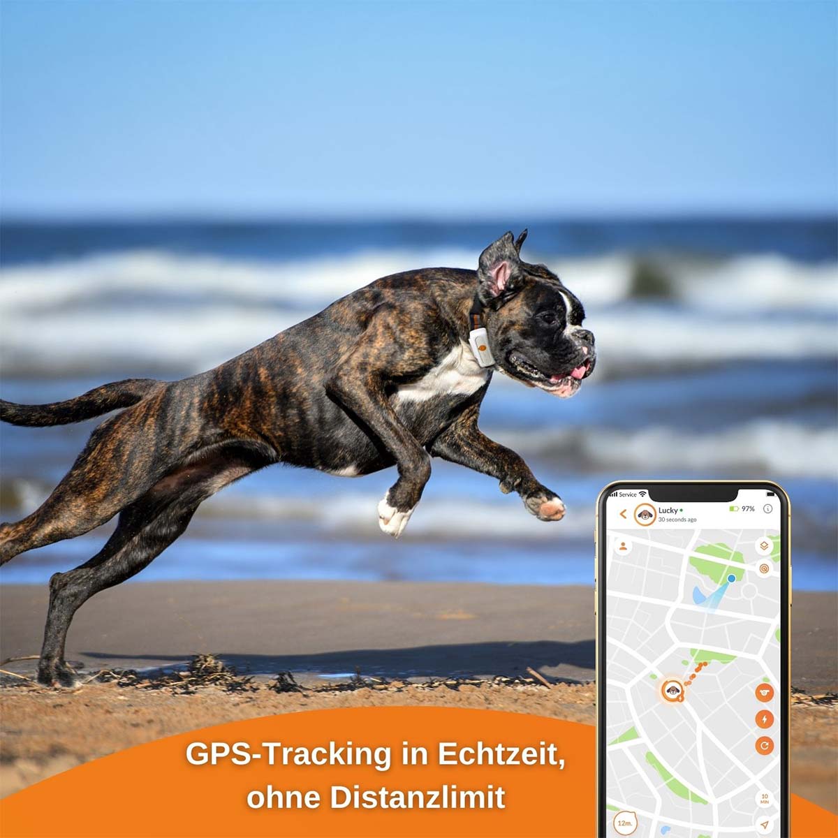 Weenect XS GPS Tracker für Hunde günstig kaufen bei ZooRoyal