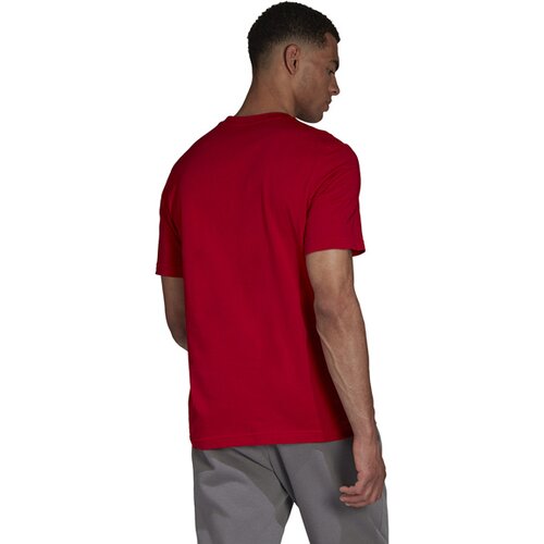 HERREN FANSHIRT ENTRADA 22 (NORMAL & LANG)