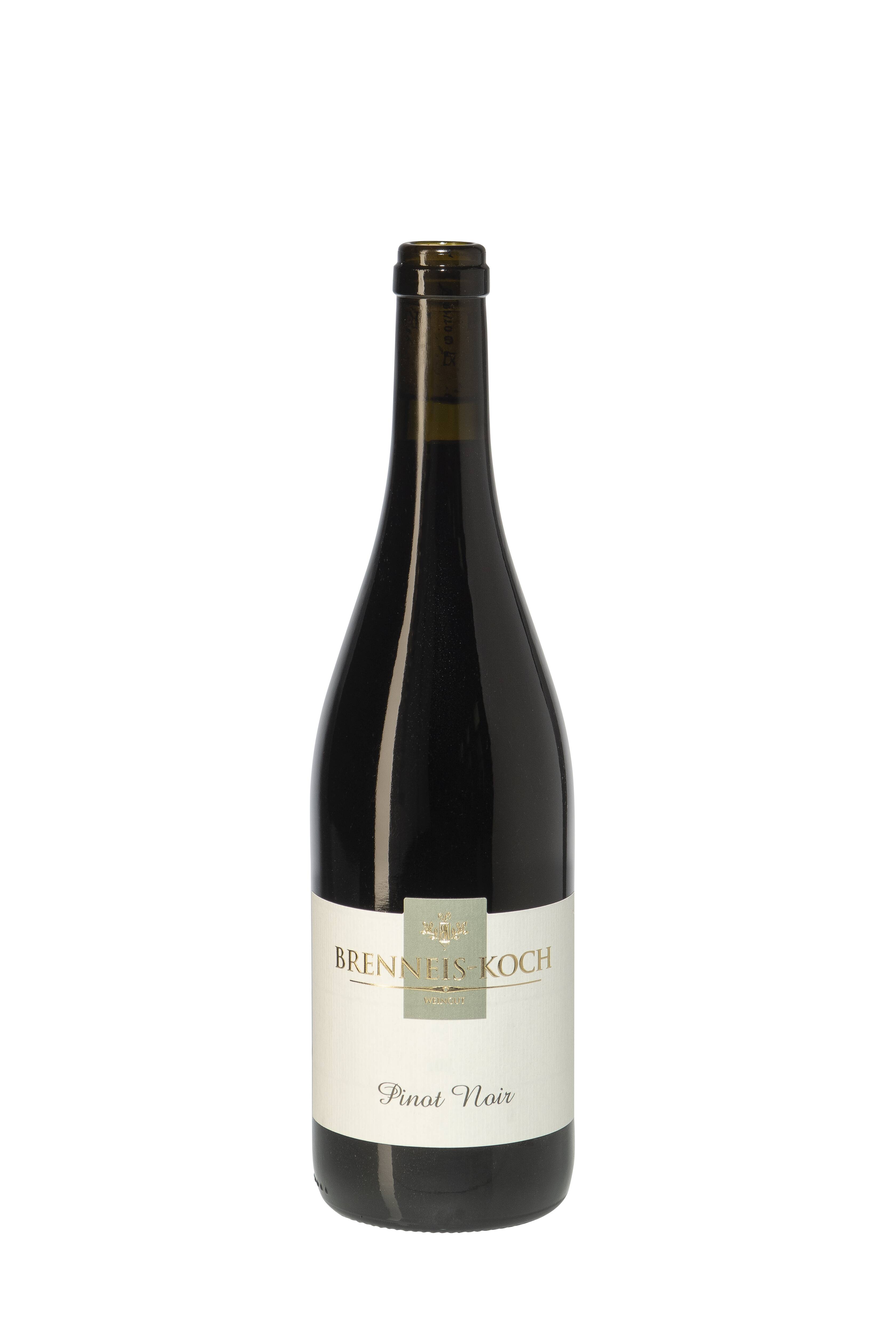 Weingut Brenneis-Koch Pinot noir Rotwein trocken 2019