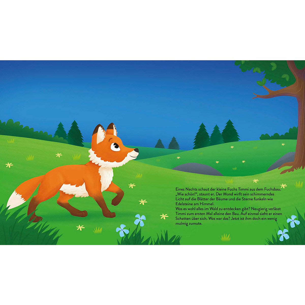 Mit Timmi Fuchs bei Nacht im Wald (Mit UV-Licht-Taschenlampe)