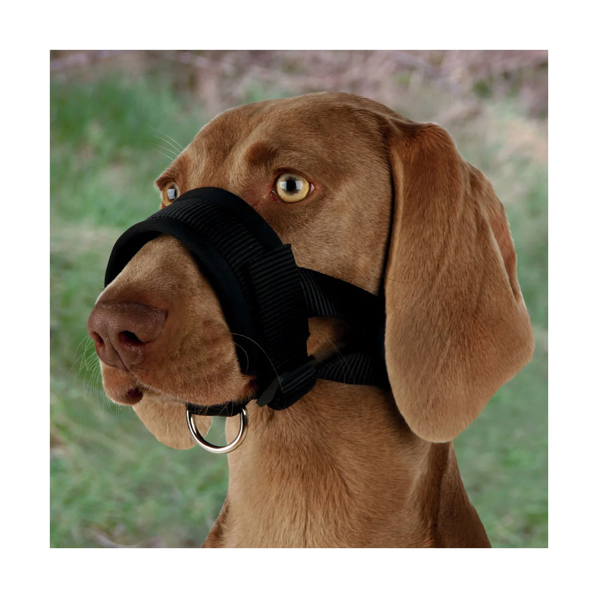 Trixie Nylon Maulschlaufe günstig kaufen bei ZooRoyal