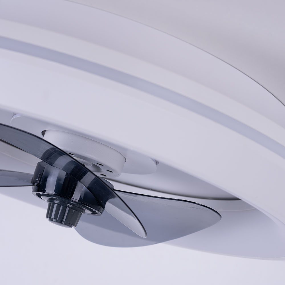 etc-shop Deckenventilator, Deckenventilator mit Licht Lampen mit Ventilator
