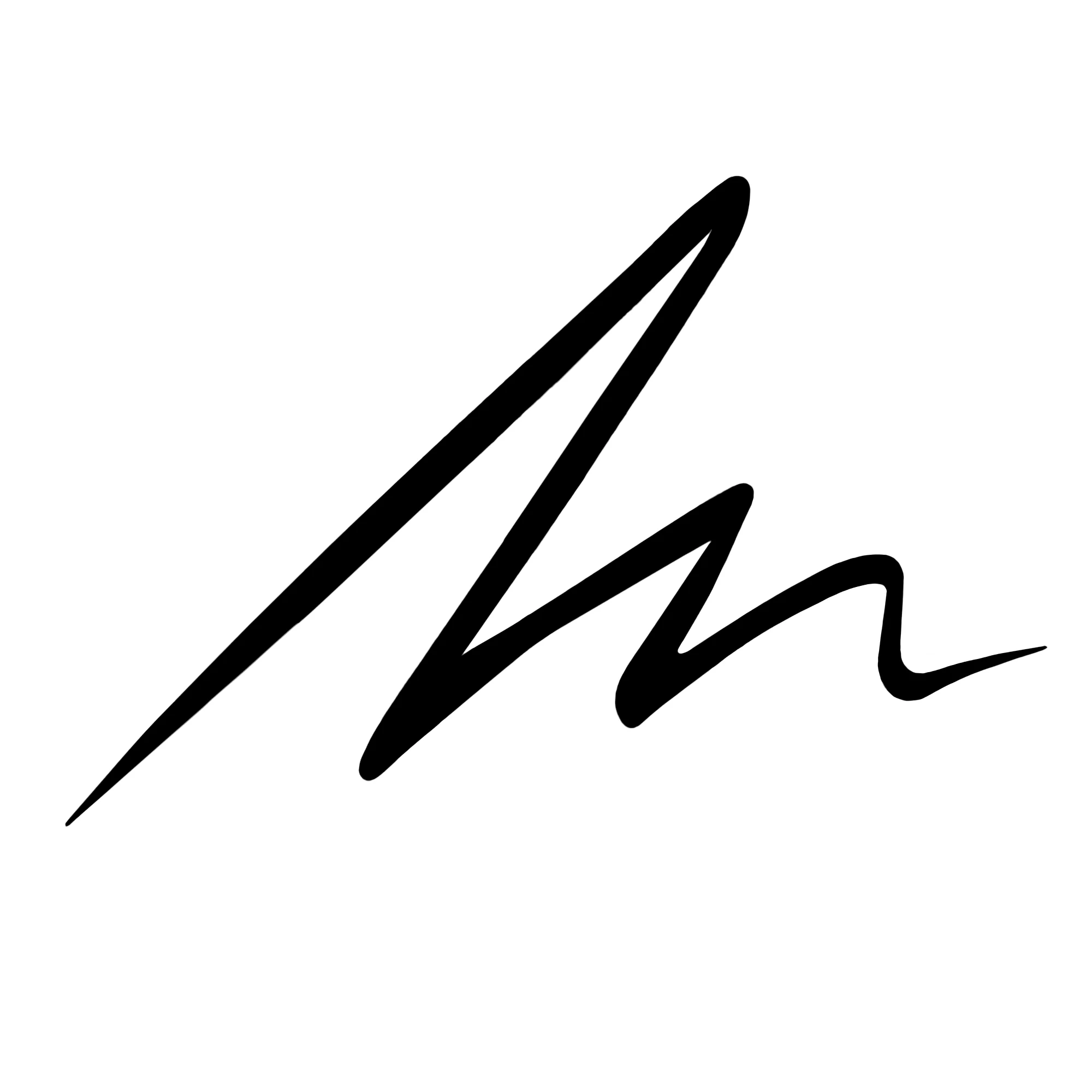 Everink Eyeliner Flydende Eyeliner med ultrapræcis spids, der holder op til 24 timer - Eyeliner