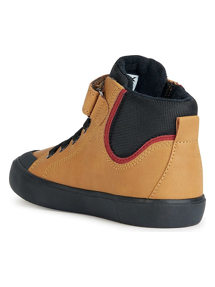 Geox Sneakers 
