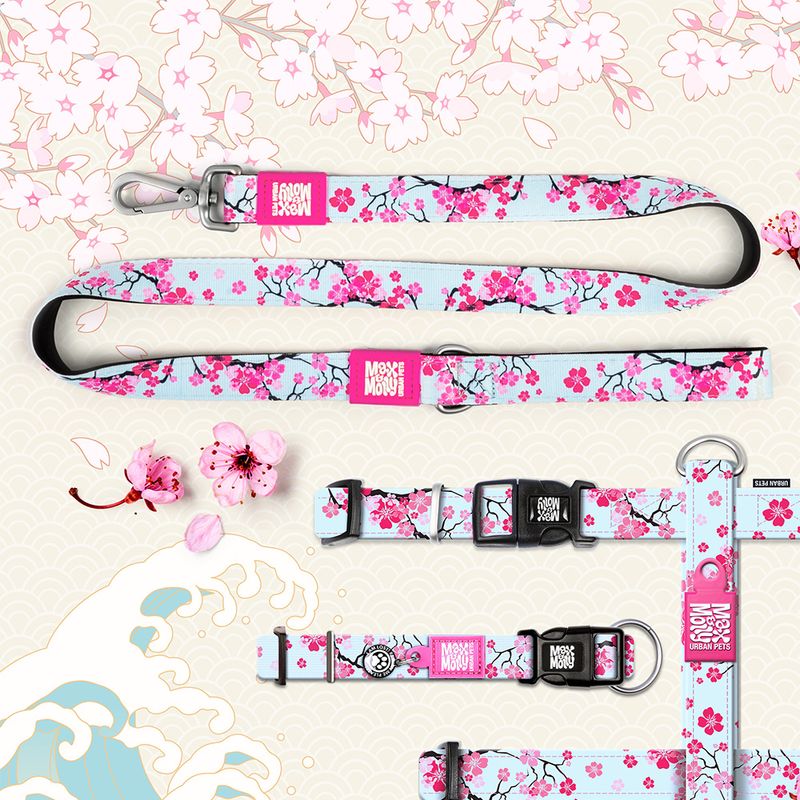 Max & Molly Kurzleine Cherry Bloom zu TOP-Preisen