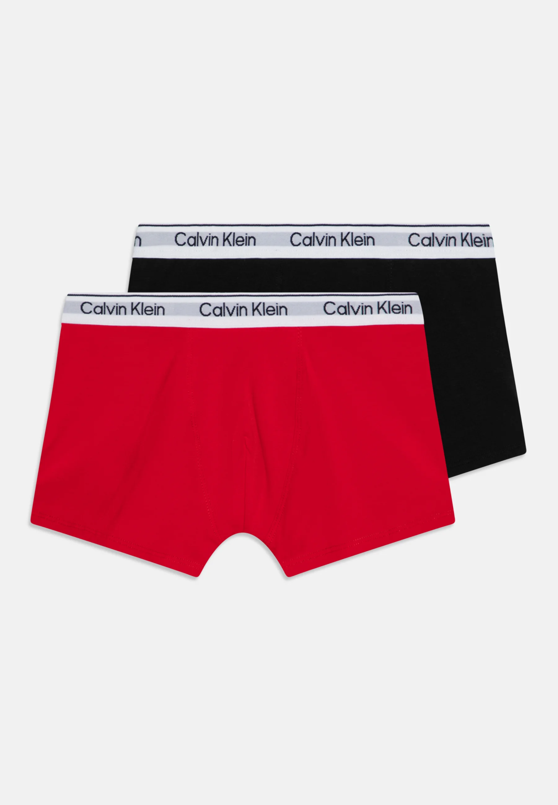 Calvin Klein Underwear TRUNK PACK DE 2 - Culotte
