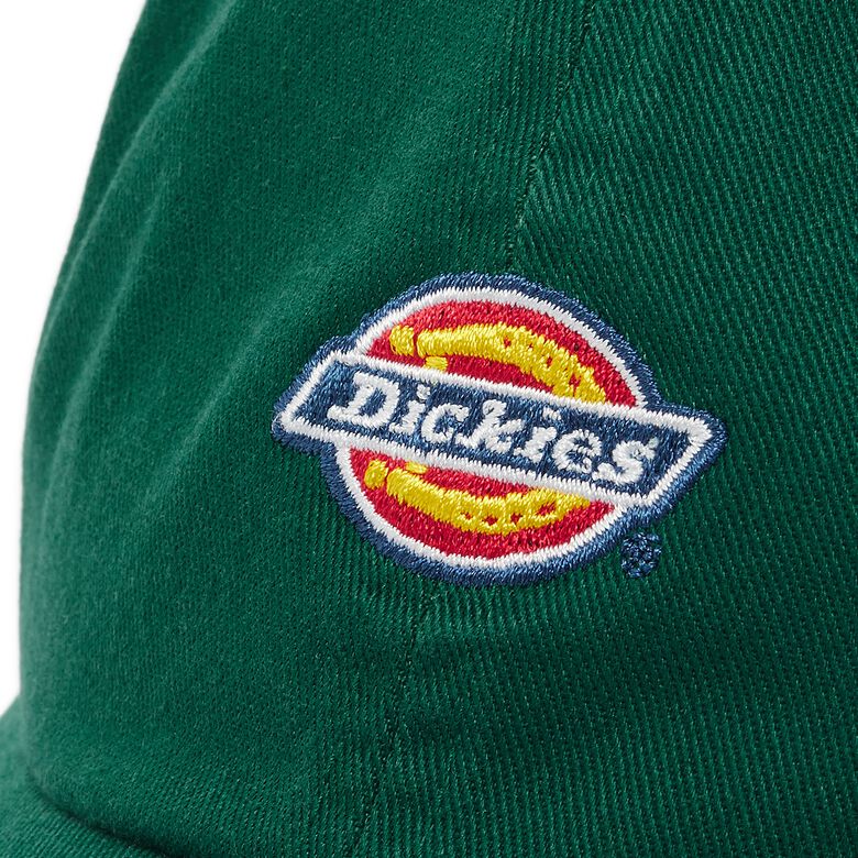 Dickies Hardwick aventurine