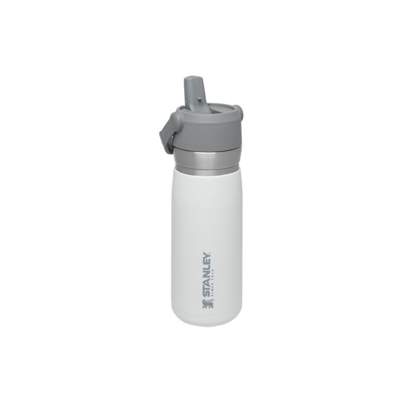 Thermoflasche Stanley, Go Iceflow Flip Straw Water Bottle 22oz \/ 650ml  Polar