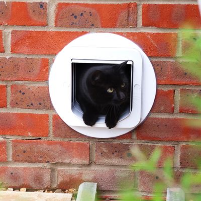 SureFlap Katzenklappe mit Chip