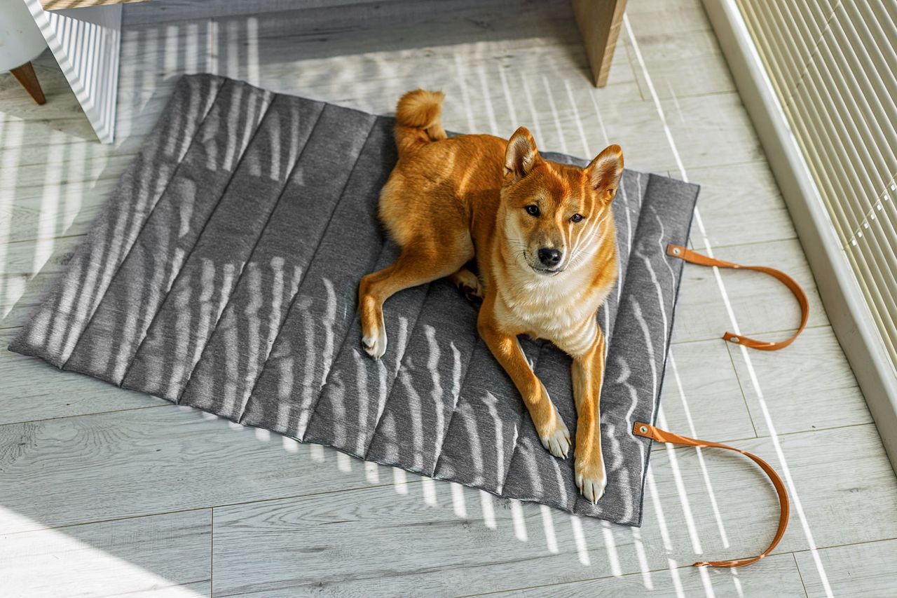 Animood Hunde-Rollmatte Luna Hundeteppich universal grau