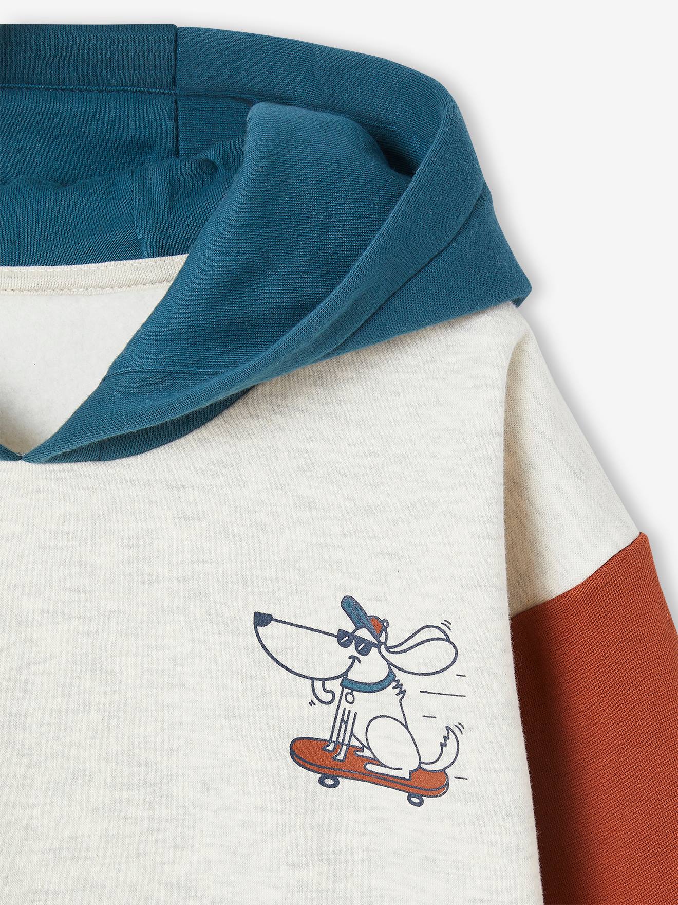 Sweat à capuche colorblock garçon vert