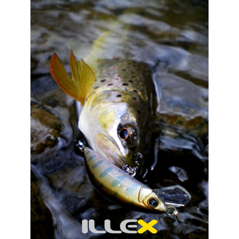 Leurre Dur Jerkbait Illex Tricoroll 55HW 5.5cm, 4.5g