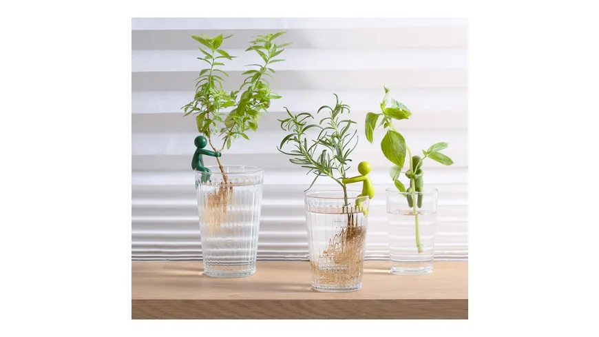 Peleg Anzuchthelfer Leafriend 3er Set