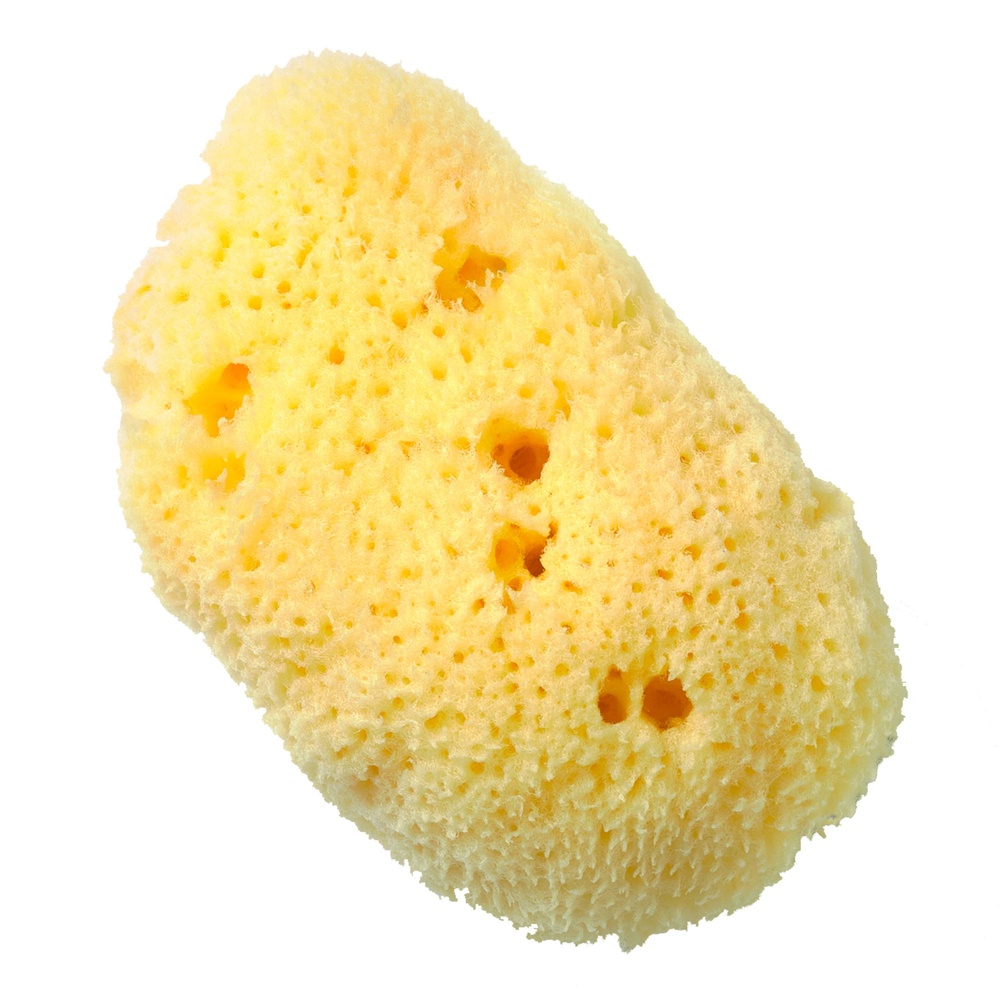 huygens LA PETITE ÉPONGE NATURELLE Éponge ultra-douce pour le visage. Naturellement anti-bactérienne.