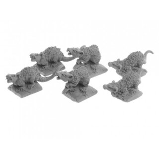 Giant Tomb Rats (6)